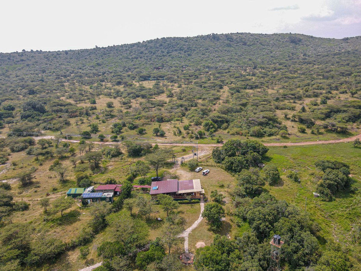 CampCastel's tweet photo. A new week begins in the heart of the wild.
Fresh views, open skies, and the promise of new adventures — Monday looks better from here.

Here’s to a week filled with peace, adventure, and unforgettable moments at Castel Mara.

Book (+254) 0758955220
https://t.co/WeUE3LDOWk https://t.co/5oGsX5Zl9l
