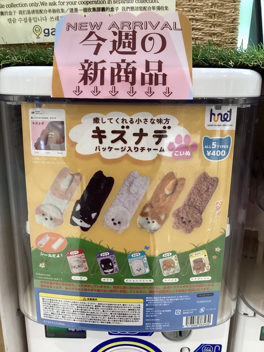gashacoco 公式X（本部）の入荷情報の写真