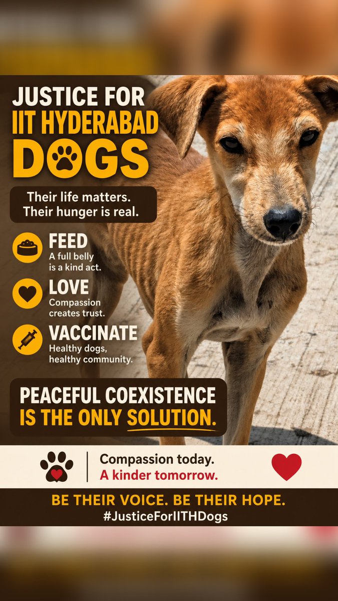 dilthi_gujarati's tweet photo. Disturbing allegations regarding campus dogs require independent and impartial review.
Educating future leaders requires building empathy alongside intellectual excellence
@TheDeverakonda @Samanthaprabhu2
#SaveIITHyderabadDogs #IITHyderabad #WorldAnimalDay https://t.co/QlEinbSQNn