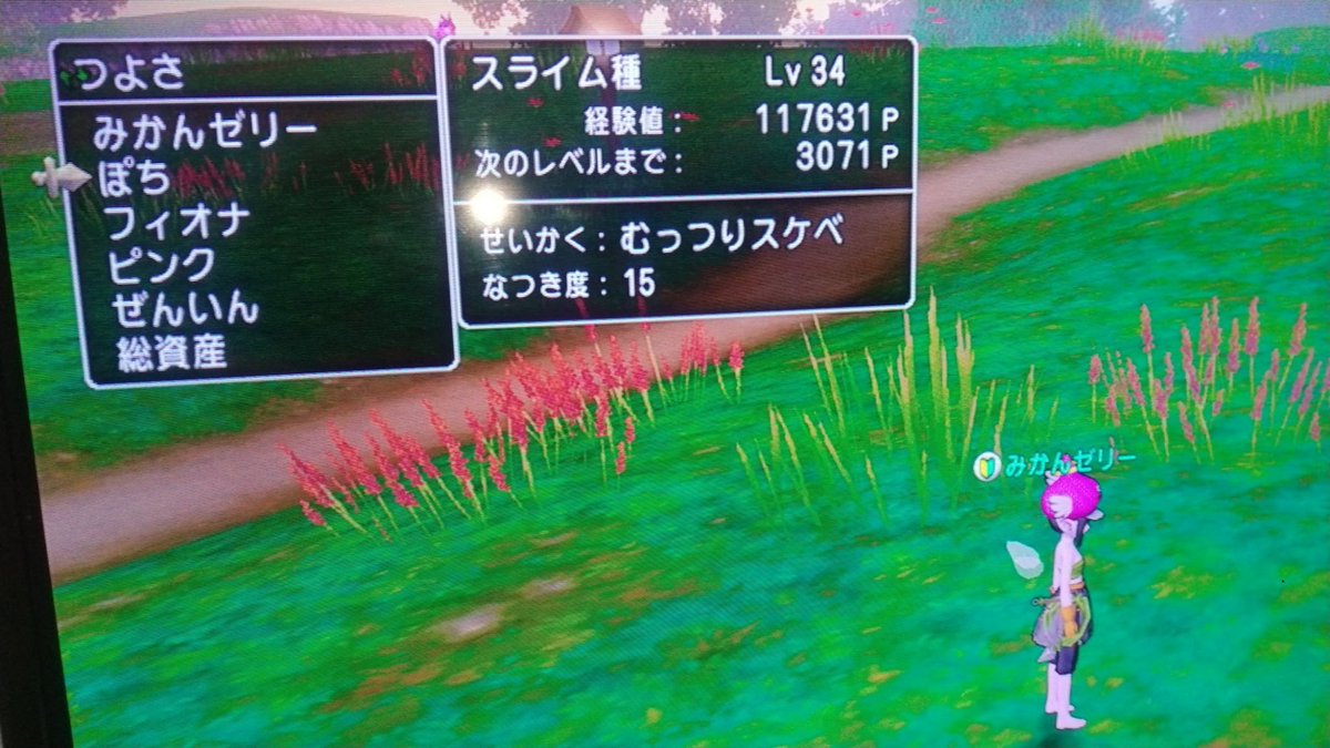 SD56U57S's tweet photo. スライムゲット！ https://t.co/d0phCt85Qo