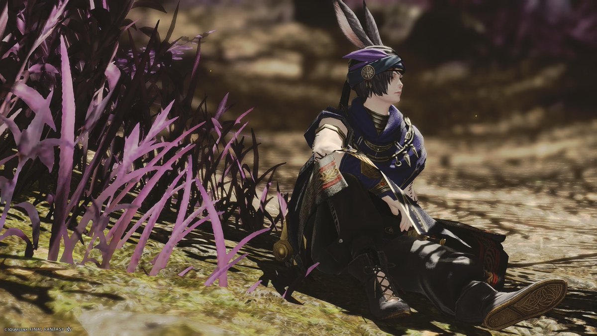 satora_sarade's tweet photo. ピルグリム実装されたくらいの時期で、SSいっぱいあったけど 選ばれたのは当時のミラプリ達の写真でした
#これを見た人は去年の10月の画像を貼る https://t.co/bqSAex7pFZ