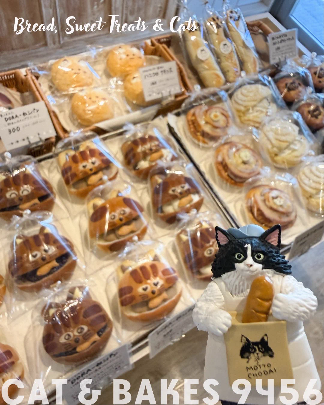 CAT & BAKES 9456 （キャットアンドベイクスグシコロ