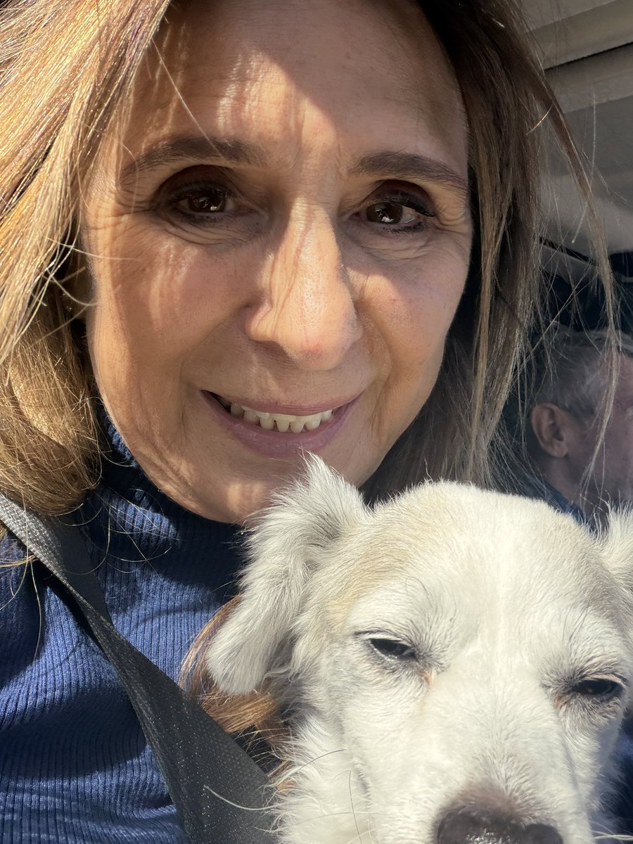 VictoriaDseaman's tweet photo. Coming to Las Vegas is always the happiest and saddest moment for me. I get to see my baby Jacque, hold him close, and then have to leave him again. ❤️‍🩹
#animallover #doglover https://t.co/RKh1rISpHO
