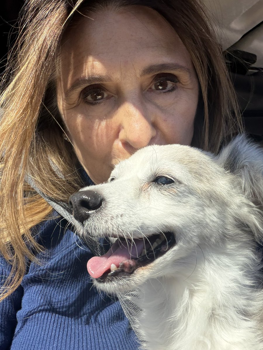 VictoriaDseaman's tweet photo. Coming to Las Vegas is always the happiest and saddest moment for me. I get to see my baby Jacque, hold him close, and then have to leave him again. ❤️‍🩹
#animallover #doglover https://t.co/RKh1rISpHO