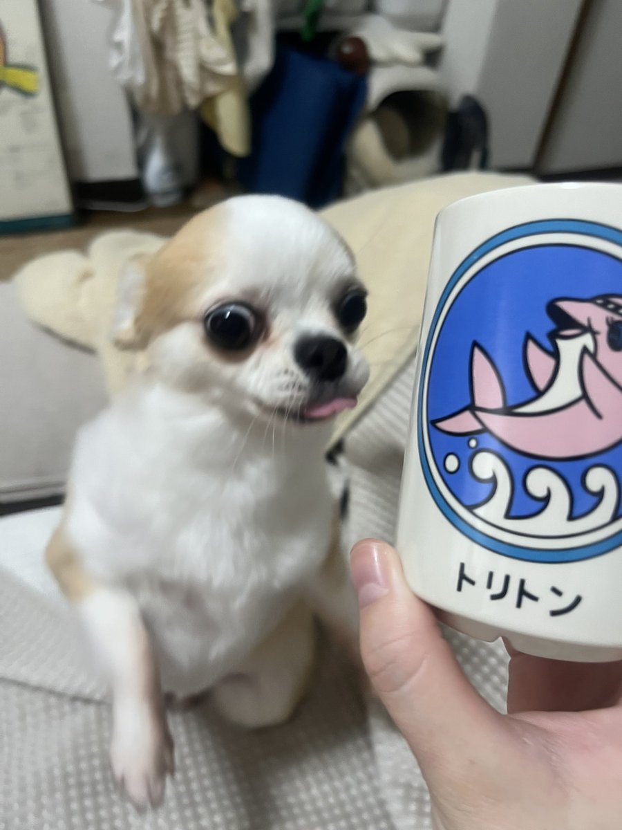 donyoku_jp's tweet photo. https://t.co/RPz1dFrXvU