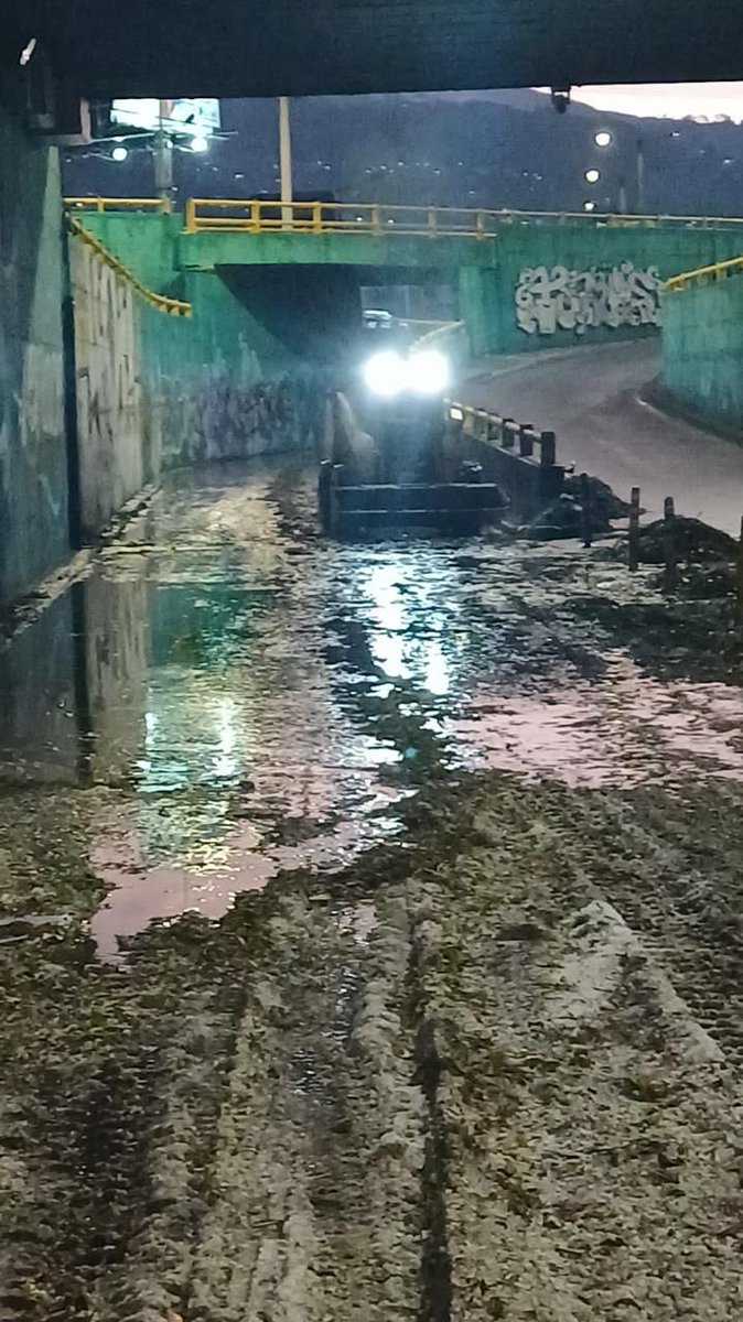 DianaCruzUIO's tweet photo. Hoy, 4 de octubre, Quito vivió uno de los Cordonazos de San Francisco más intensos de los últimos años. Lluvia torrencial, granizo y tormenta eléctrica que pusieron a prueba a la ciudad.

Frente a eso, el Municipio de Quito estuvo donde tenía que estar: en territorio, enfrentando y afrontando la emergencia, no tras las redes sociales.

Mi reconocimiento y respaldo total a:

👨‍🚒 @BomberosQuito por el rescate de nuestros vecinos del bus La Ofelia-La Planada, El Condado, y de los vehículos atrapados en los deprimidos de La Y y 10 de Agosto y Naciones Unidas.

💧 @EPMAPSQuito por la evacuación del agua en la estación El Labrador del Metro, en El Bosque, y en diversas calles y avenidas 

🚦 @AMTQuito por el cierre preventivo de los pasos a desnivel de la Mariscal Sucre y Mañosca, 10 de Agosto, La Prensa y El Labrador, evitando tragedias.

🚇 @MetrodeQuito por desplegar a sus equipos técnicos y de limpieza y garantizar la operación al 100% mañana lunes 5 desde las 05:30.

Al equipo de Quitopía por limpiar la oficina administrativa que se encuentra en el subsuelo, mañana sus 35 espacios estarán nuevamente a servicio de la comunidad.

A los vecinos de El Bosque, donde el granizo colapsó parte del ingreso 6 del centro comercial, y a todos los barrios afectados: no están solos.

Mientras nosotros atendíamos la emergencia, unos pocos oportunistas celebraban la desgracia desde el celular para intentar sacar rédito político. Esa vieja forma de hacer política que se alegra cuando a Quito le va mal, es lo que la ciudad ya no tolera.

Nosotros como siempre trabajando. 

Recuerda que es deber de todos cuidar nuestra ciudad y nuestra seguridad; no arrojes basura a la calle, saca la basura en el horario y día establecido.

Y ante cualquier emergencia comunícate al 9-1-1