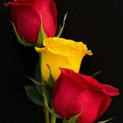 IvancenkoAndrej's tweet photo. @vera_sanders20 https://t.co/9bvKFTA879