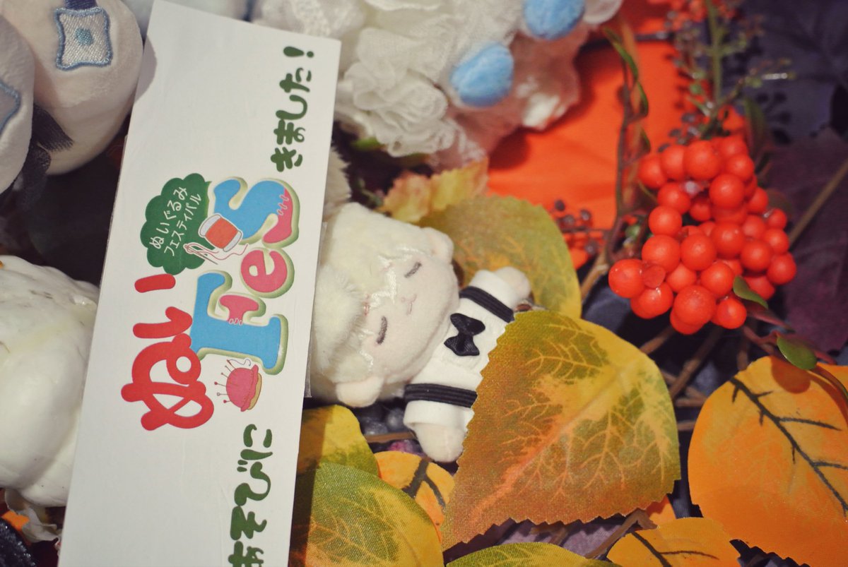 Mu_wen78's tweet photo. 藍さんと撮らせていただいたやつ˖˚˳⌖
2枚目めっちゃ悠臣と目が合う　あと巣穴でおねむになってるみたいで可愛すぎるピポちゃぬ୨୧ https://t.co/nBG74KqP4i