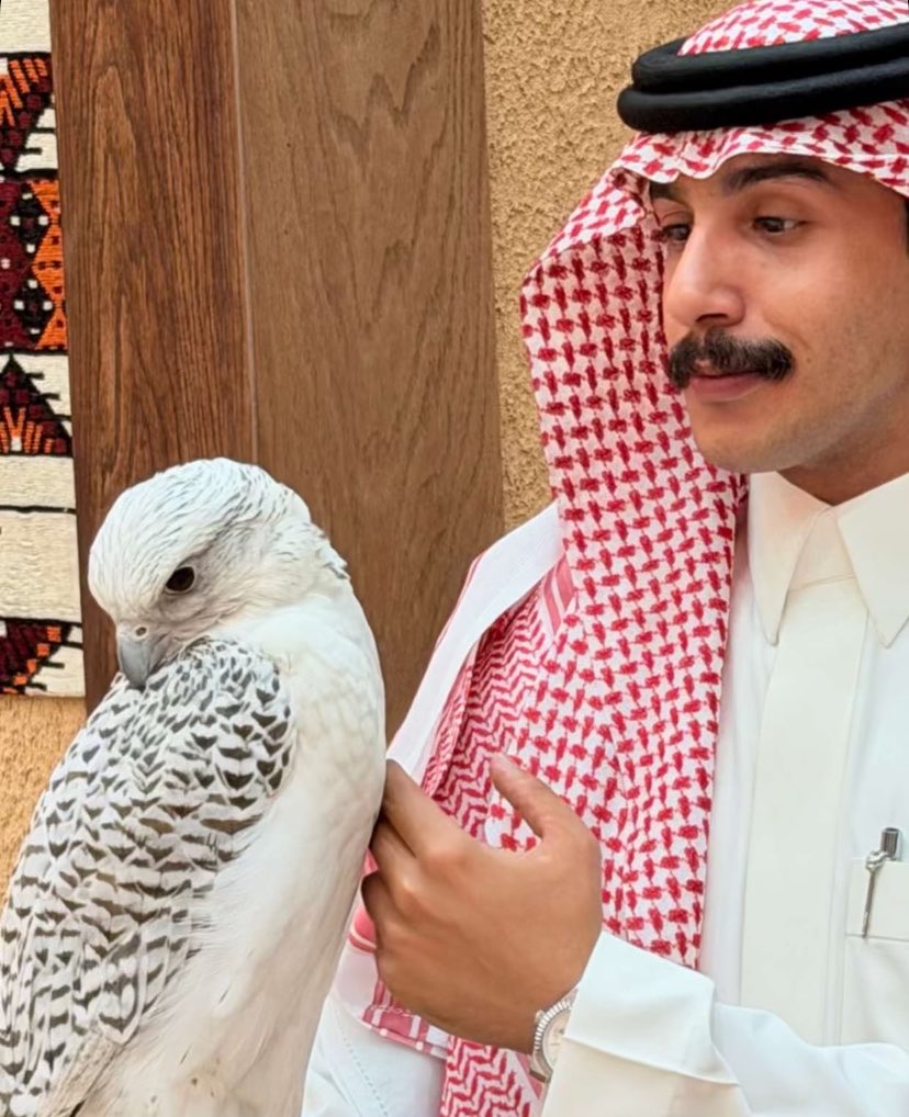 aw_ix4's tweet photo. الصقر مرا مرا حلووو https://t.co/N6MGRYTbxa