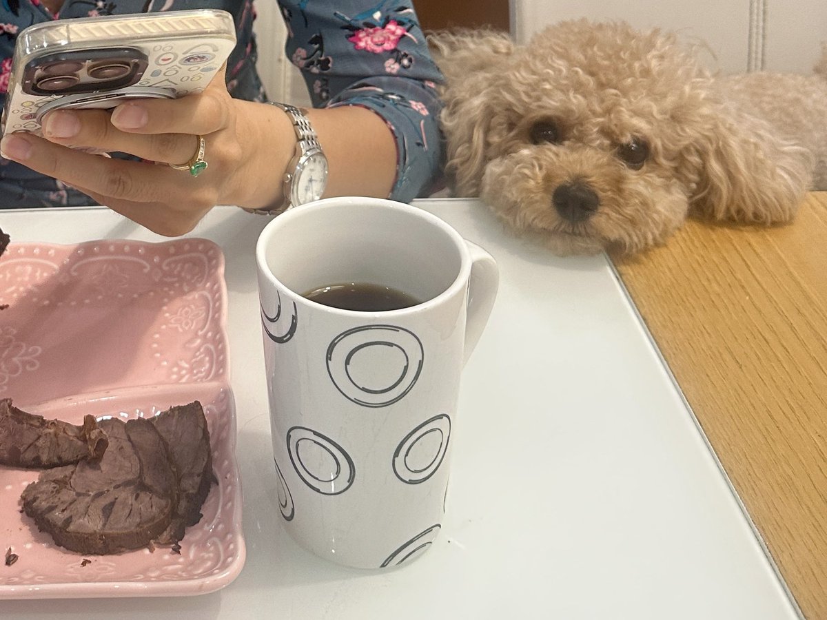 BAWUDENIU's tweet photo. 黄仁勋说过：成功是长期痛苦、被羞辱、被质疑和巨大不确定性堆出来的。

我家姑娘说🐶：这么简单的道理还用他说？我早知道了，不然嘴里的牛肉哪来的？ https://t.co/cCpQ1gCrtx