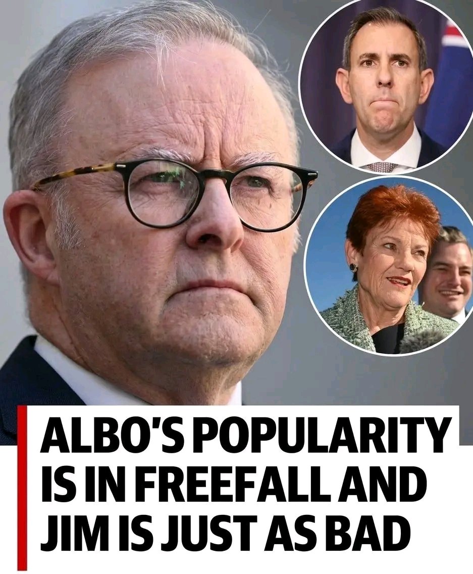 peter_jamesL's tweet photo. Jim and the liar at the Lodge can try to twist the facts however they please. 

Australians know that life is getting worse under the Labor government. 

What do you think? Do you, as Australians, feel it too?

Share your perspective in the comments.
 Cast your vote below.👇👇👇 https://t.co/lLtdM094gc