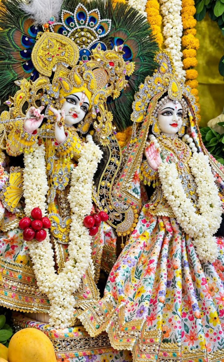 Anjuu_001's tweet photo. Jai shree Radhe Krishna 🦚🙏❤️ https://t.co/rCyFuenjNy