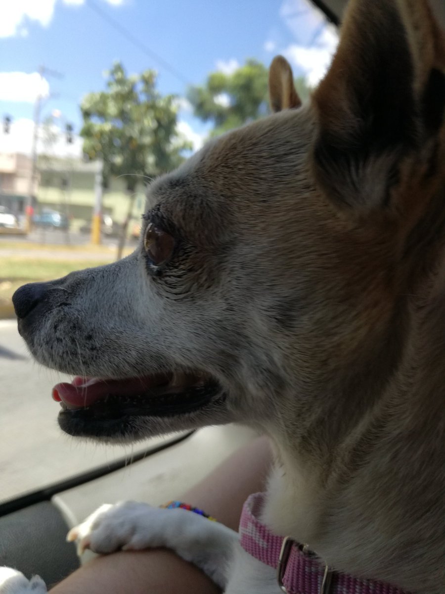 yxjkb17's tweet photo. ayer, hoy y eternamente mi vida entera ♡ https://t.co/9Y6RkHjLr7