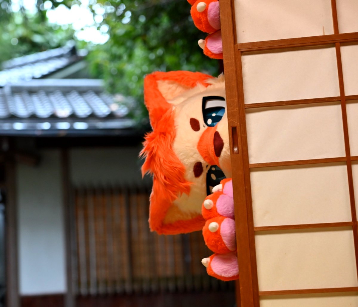 InariLuno's tweet photo. ぼくもまぜてーーー👀
#ケモノをみて今週もがんばりマンデー https://t.co/xHe4cVF3wr