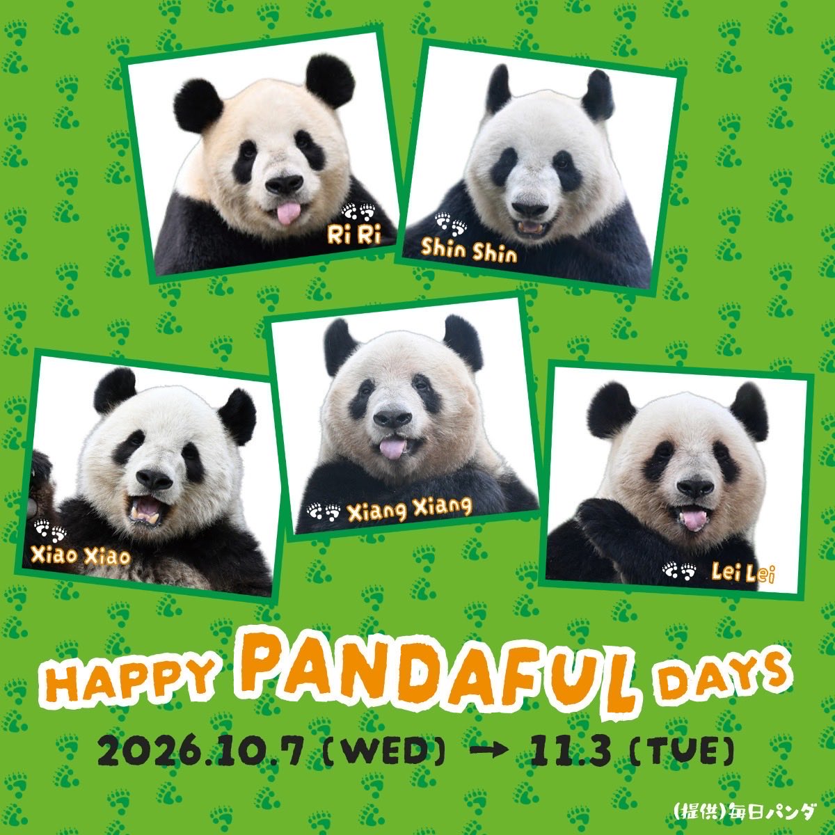 UENO_Info's tweet photo. ＼🐼もうすぐ始まるよ🐼／

10月7日(水)から、#松坂屋上野店 で「HAPPY PANDAFUL DAYS」が開催されます🎉

10月28日は #パンダ���日。来日54周年となる今年は、上野パンダファミリーの思い出を辿る展示企画やノベルティなど、イベントが盛りだくさんです。

▼詳細はこちら
https://t.co/vRBCZrt35C https://t.co/wmxmwneOvu