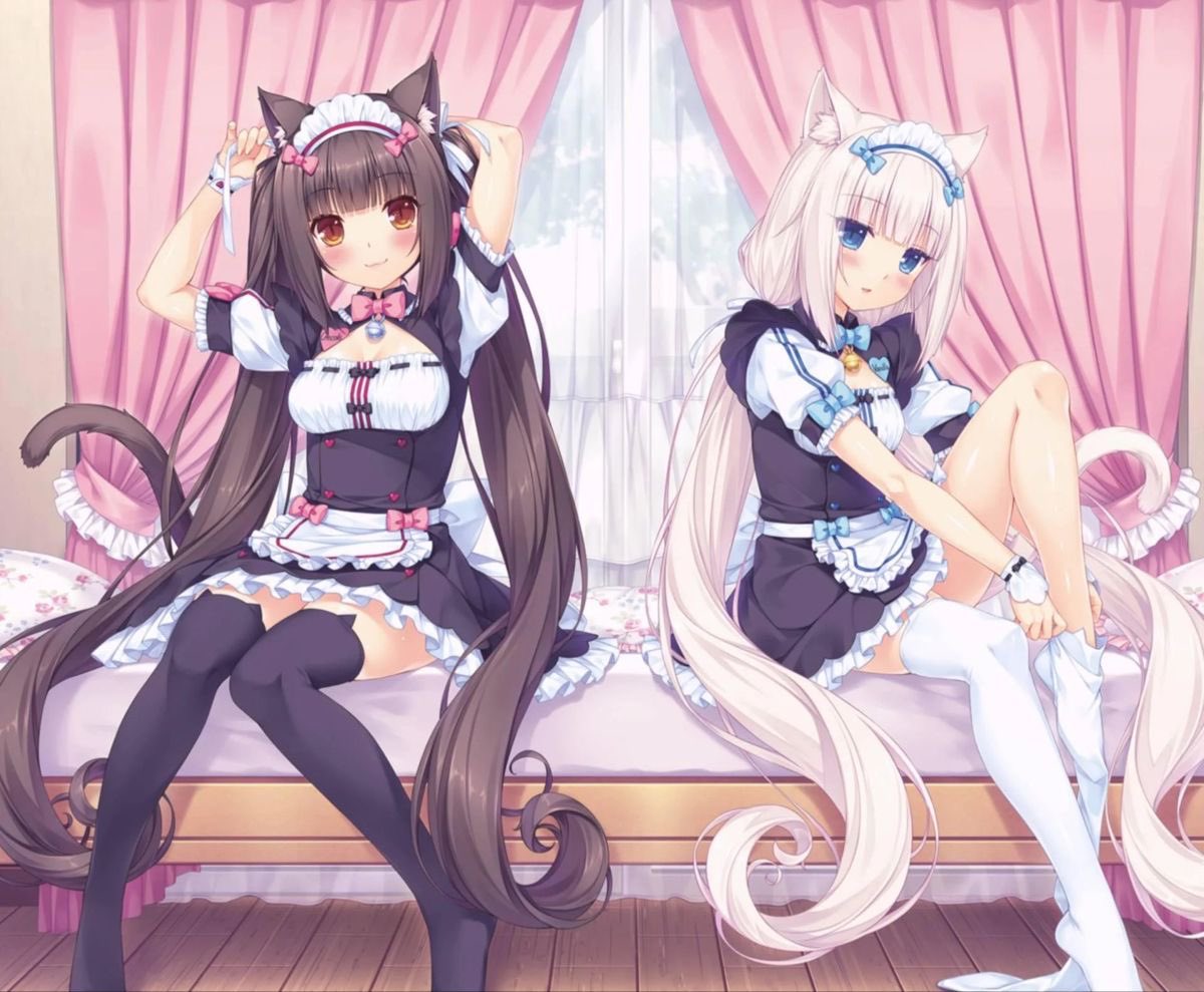 nekomiumi's tweet photo. ˙ . ꒷ 🍰 . 𖦹˙— https://t.co/idpLlsH1ts