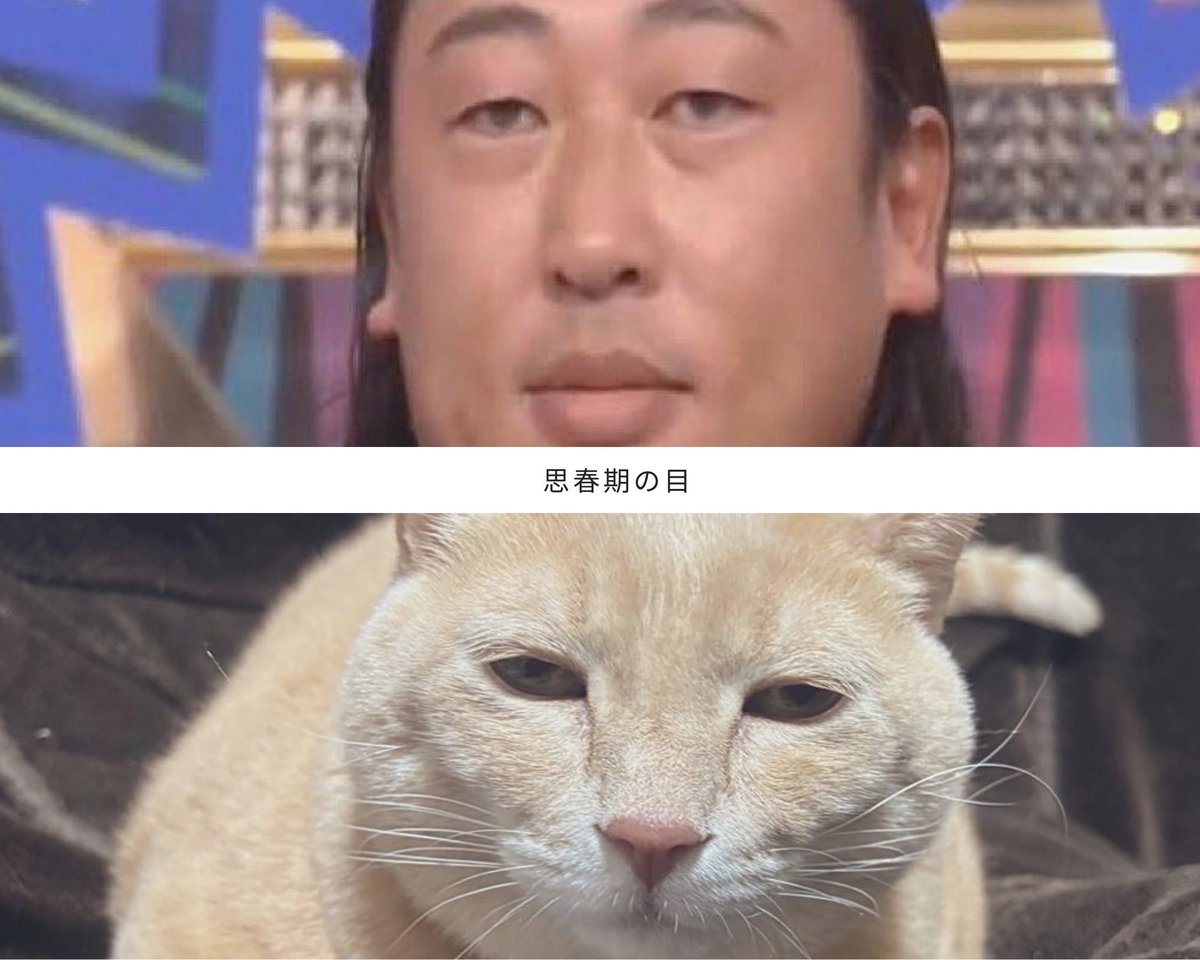 428mg2's tweet photo. 最近よく思春期の目とコメントいただきます
秋山氏好きなので光栄です https://t.co/os4PjT7LCF