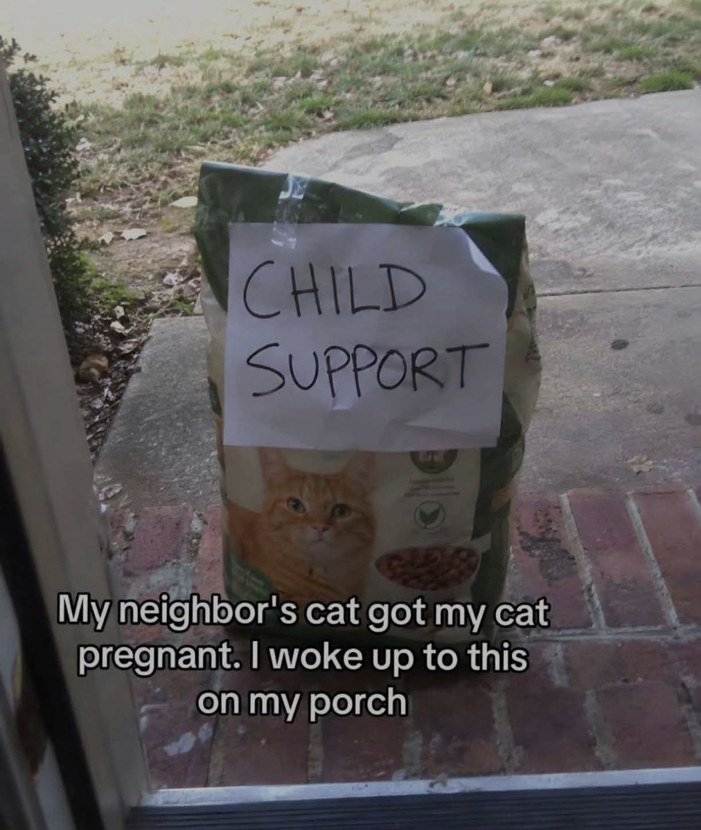 BlurredVision63's tweet photo. Responsible Pet Owner 😅 https://t.co/cWnpbn7XAR