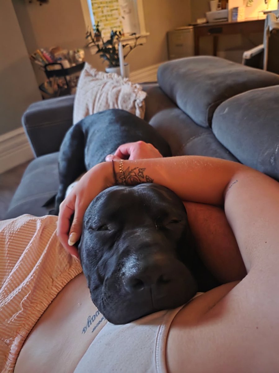 shantalmon1que's tweet photo. #dogknotting #doggystle #zooworld #zoophilia #dogmommy https://t.co/kwcJM9uqZd