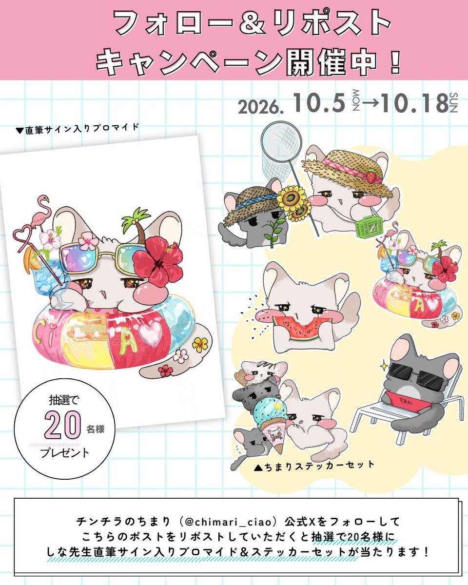 chimari_ciao's tweet photo. ／
ちゃお公式キャラクター💕
🌟「チンチラのちまり」🌟
フォロー&amp;リポストキャンペーン【第2弾】✨️😍
＼

しな先生直筆サイン入りブロマイド＆ステッカーセットを抽選で【20名様】にプレゼント‼️🎁

《〆切 10/18 23:59⏰》 https://t.co/Ta3C78WPZd