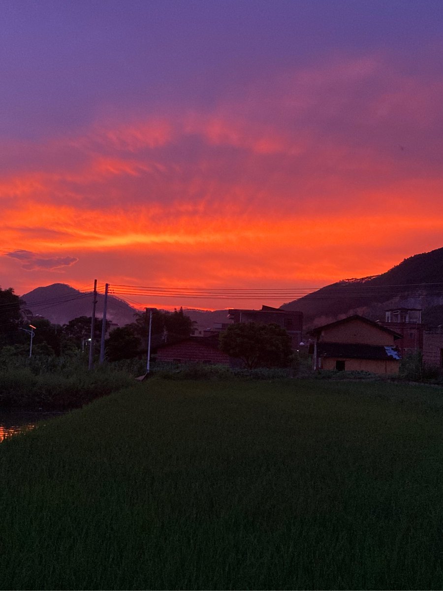 LuckyNebule8iz's tweet photo. Woke up with a cup of fragrant tea, sat in the garden, and spotted a dazzling sunset that felt like a rare, burning work of art—what a beautiful, unexpected moment! https://t.co/i322jXfW3m