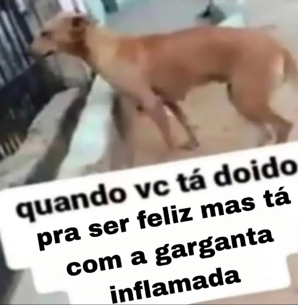 shitpostverdade's tweet photo. https://t.co/qE9hH79nov