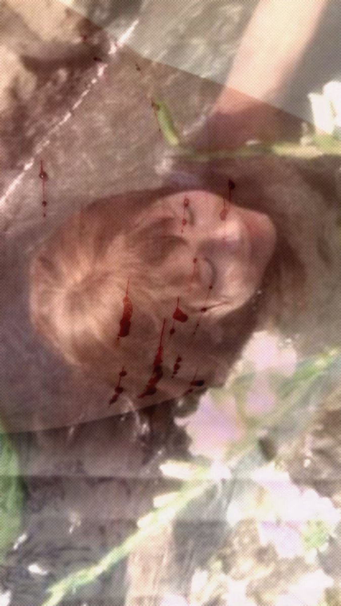 LilibethCherub's tweet photo. TW #sfxmakeup #ai #sfx #makeup https://t.co/jKnugiPEOZ
