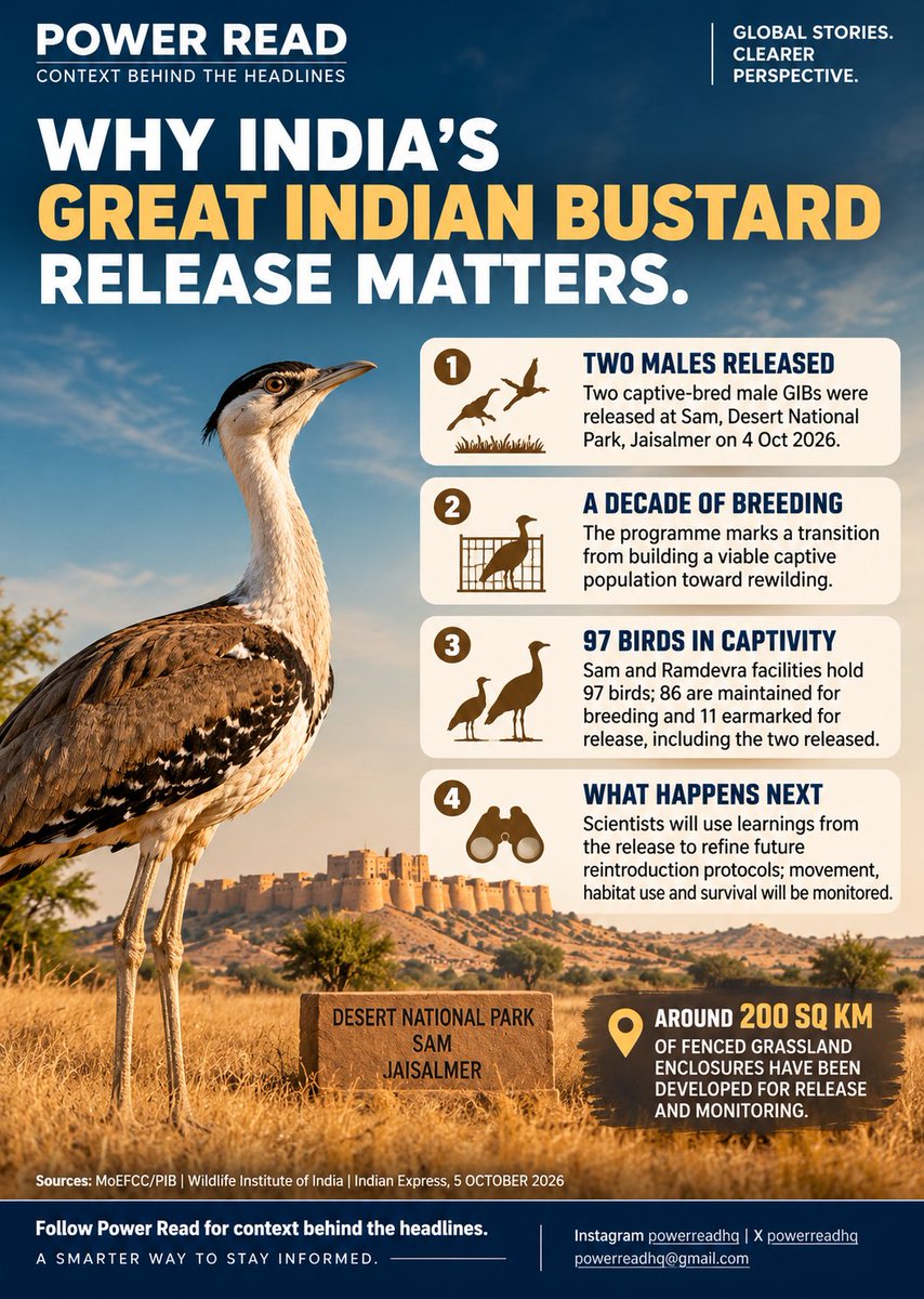 Powerreadhq's tweet photo. ⚡ POWER READ

🐦🇮🇳 FROM CAPTIVITY TO THE DESERT
India has released two captive-bred male Great Indian Bustards into the wild at Sam in Rajasthan’s Desert National Park.
For one of India’s most threatened birds, this marks a major shift:
from conservation breeding → to rewilding.

📌 CONTEXT
Nearly a decade of captive-breeding work has created a population large enough for carefully managed releases.

The Sam and Ramdevra facilities currently hold 97 birds.
→ 86 maintained for breeding
→ 11 earmarked for release
→ 2 now released into the wild

🇮🇳 WHY IT MATTERS
Captive breeding is only the first step.
The real test is whether these birds can survive, adapt and eventually reproduce in the wild.

🌍 THE BIGGER PICTURE
Around 200 sq km of fenced grassland enclosures have been developed inside Desert National Park for release and monitoring.

🔎 WHAT TO WATCH
Scientists will monitor the released birds and use the results to refine future reintroduction efforts.
The goal:
Not just more birds in captivity — but a viable population in the wild.

Source: Ministry of Environment, Forest & Climate Change / PIB