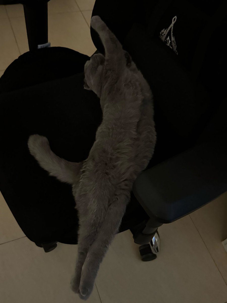 heregyth's tweet photo. just gonna leave this here😭 https://t.co/MCfHlTflui