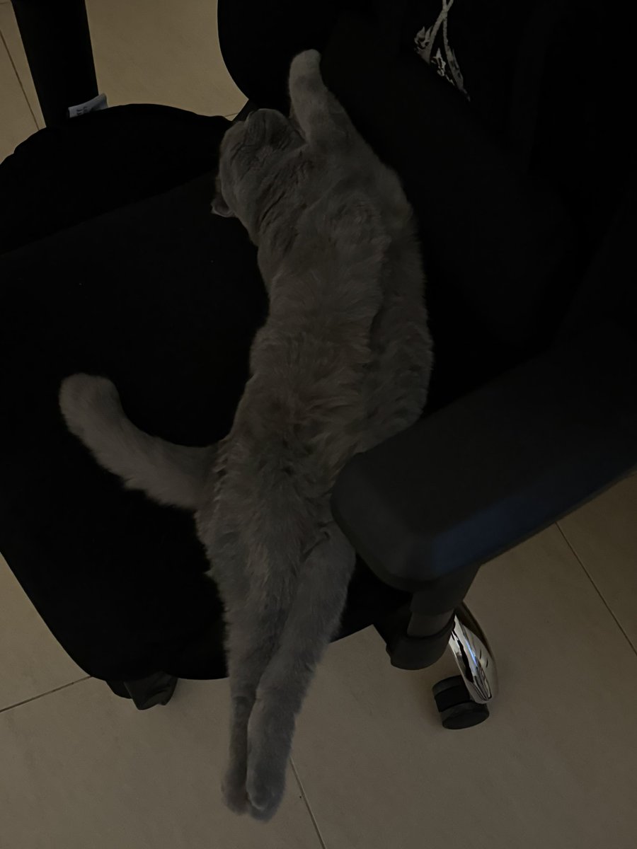 heregyth's tweet photo. just gonna leave this here😭 https://t.co/MCfHlTflui
