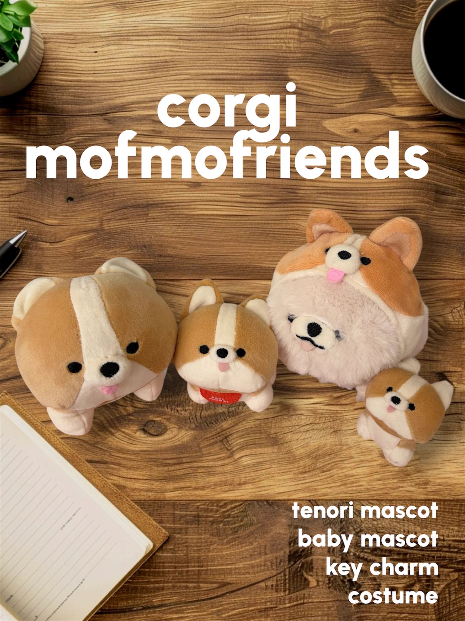 モフモフ⭐︎確認用 MOFMOFRIENDS【公式】 (@_MOFMOFRIENDS_) / X