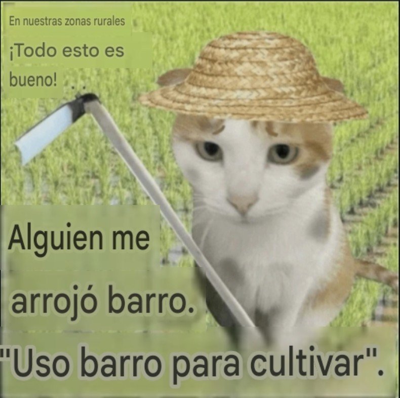 Pusheentries's tweet photo. ESTO ES DEL GRUPO, AYUDAAA https://t.co/EehZnmDU7J