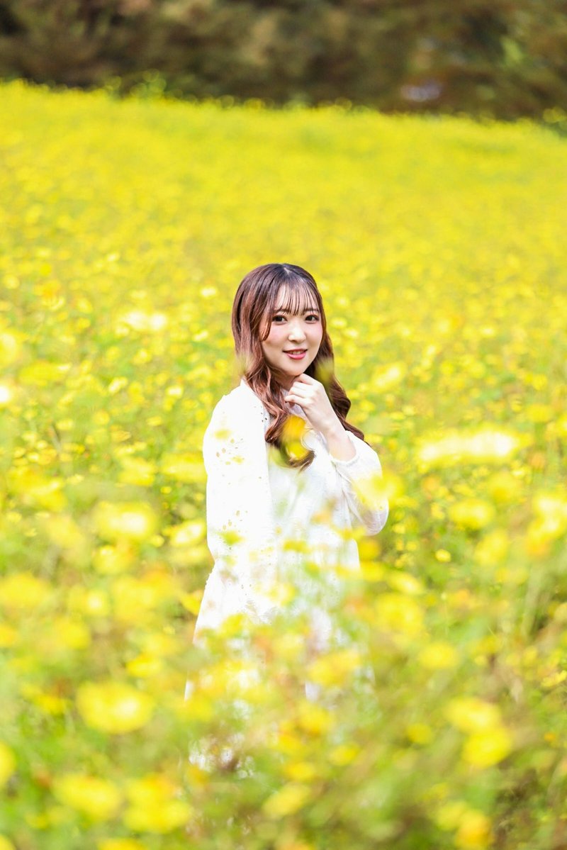 aykymd9's tweet photo. コスモス撮影❁⃘*.ﾟ
黄色のコスモスがすんごかった💛 https://t.co/gV91koiaI3