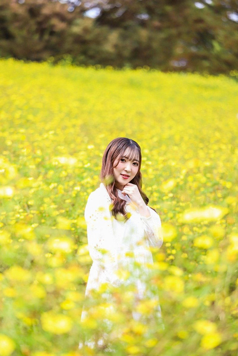 aykymd9's tweet photo. コスモス撮影❁⃘*.ﾟ
黄色のコスモスがすんごかった💛 https://t.co/gV91koiaI3