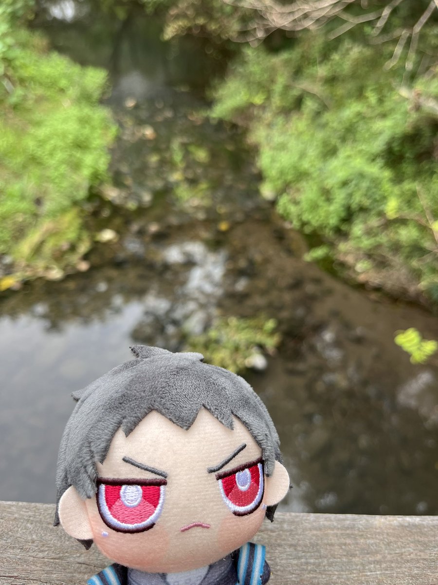 sasaka_maaa's tweet photo. もりら https://t.co/GvYNlqzhlC