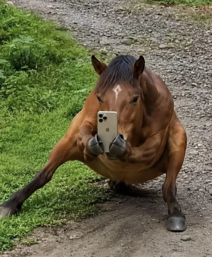 AlCaponefonzo's tweet photo. bro really pulled up and chose to crouch 🐴

no explanation.
no reason.
just the most committed squat on the internet.

CROUCHING HORSE

$SQUAT
Ca: BN898skHZq4yaUJCZngDE3eNNpjQXE34HSTLWD51pump https://t.co/6Hxa7h4BVN