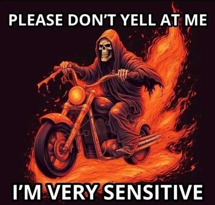 256GBsMemes's tweet photo. https://t.co/JIvd7iYZ23