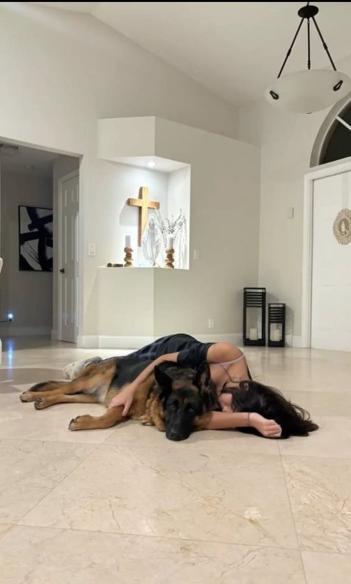 MaddieQueeo2's tweet photo. Soft picture.
Real version: me stuck on his knot, shaking, and taking every drop.
Link in bio
#dogs #K9 #USA https://t.co/wX8N8Eyfq6