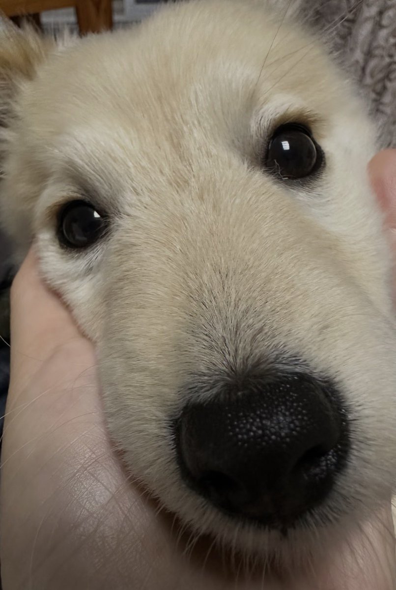 twaniimals's tweet photo. https://t.co/BCfrFmPHul