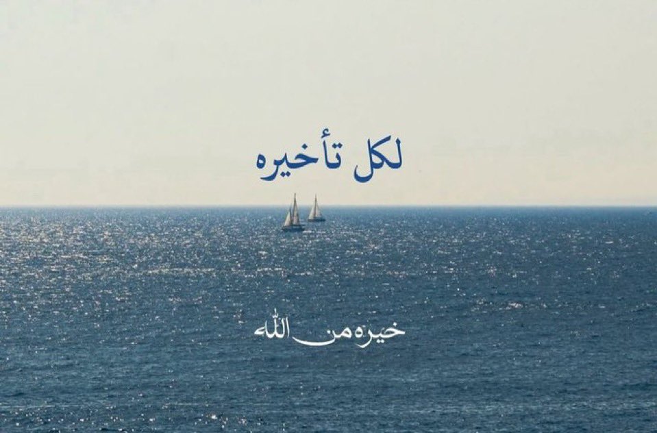 MaryamAhme28505's tweet photo. #توظيف_فنيات_المختبر2 
#توظيف_فنيات_المختبر
#وزارة_العمل
#محمد_المخيني
#أحمد_الخليلي
#وزارة_المالية
@Labour_OMAN
@EduGovOman
 @MAFWR_Om https://t.co/rD4COYQkYi