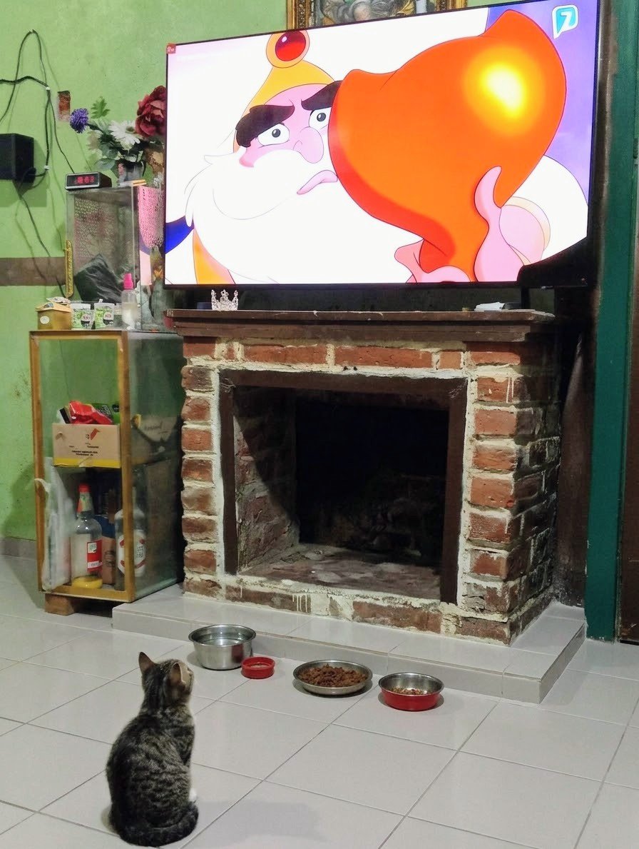 babssoy's tweet photo. Mi Kesha no despega el ojo de la pantalla viendo Aladdín 🐱📺 ¡Está fascinada con las #AventurasDeOriente por @AztecaSiete! 🧞‍♂️🐈 https://t.co/rx3RlrrDcO