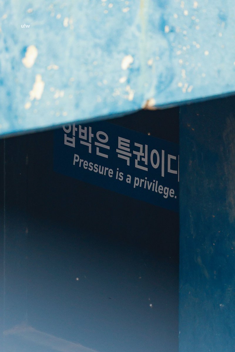 uiwasunyc's tweet photo. 261004 창원

압박은 특권이다.

#전사민 #엔씨다이노스 https://t.co/Iem6lYs8Qw