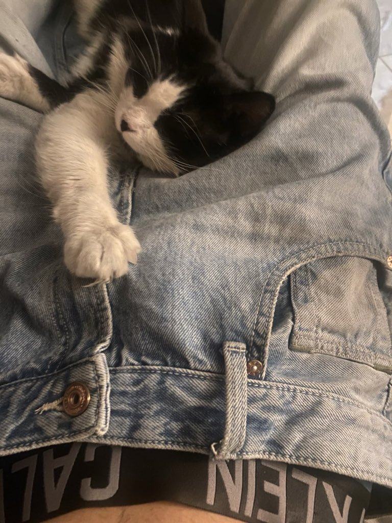 Gxxxehg's tweet photo. 😺 https://t.co/U3kH2WdUR0