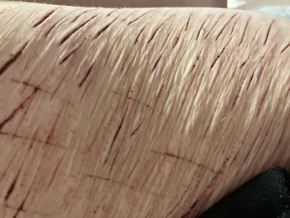 rain2081728's tweet photo. tried sfx makeup again!!! #sfx #sh 

why am i so bumpy https://t.co/JS6CzTvIYZ