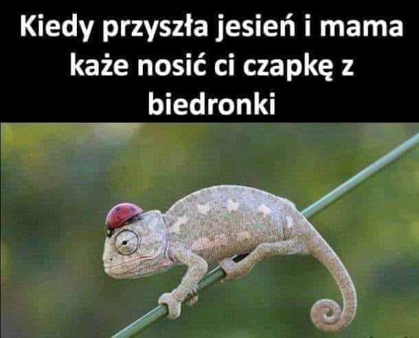 HT1i6pyWsAAe8b4