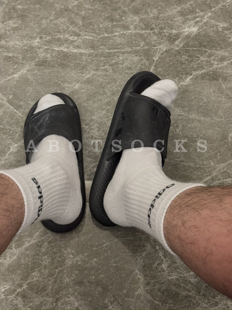 abotsocks tweet picture