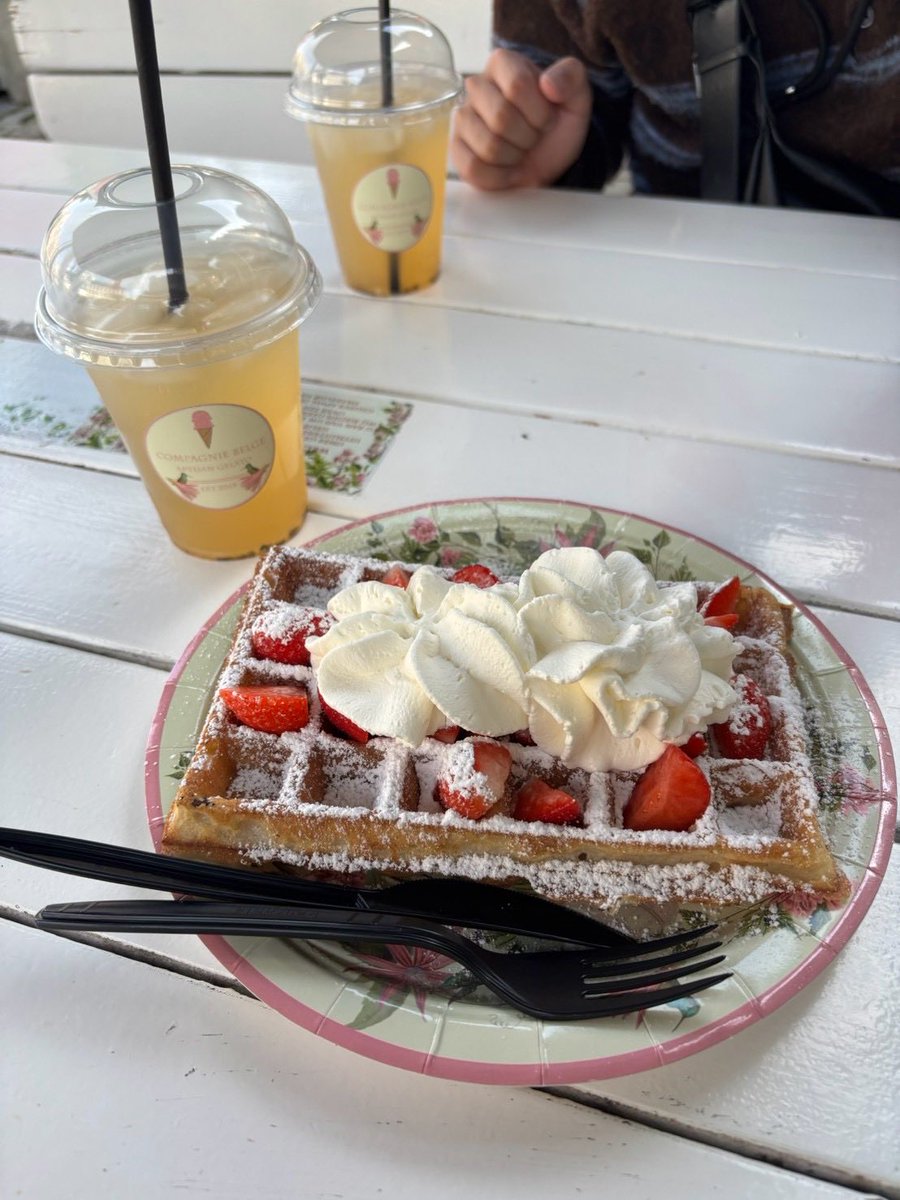 baka_taro_'s tweet photo. ベルギーで食したものたち🇧🇪
フリッツが食べたい🍟 https://t.co/Do79lEdAHk