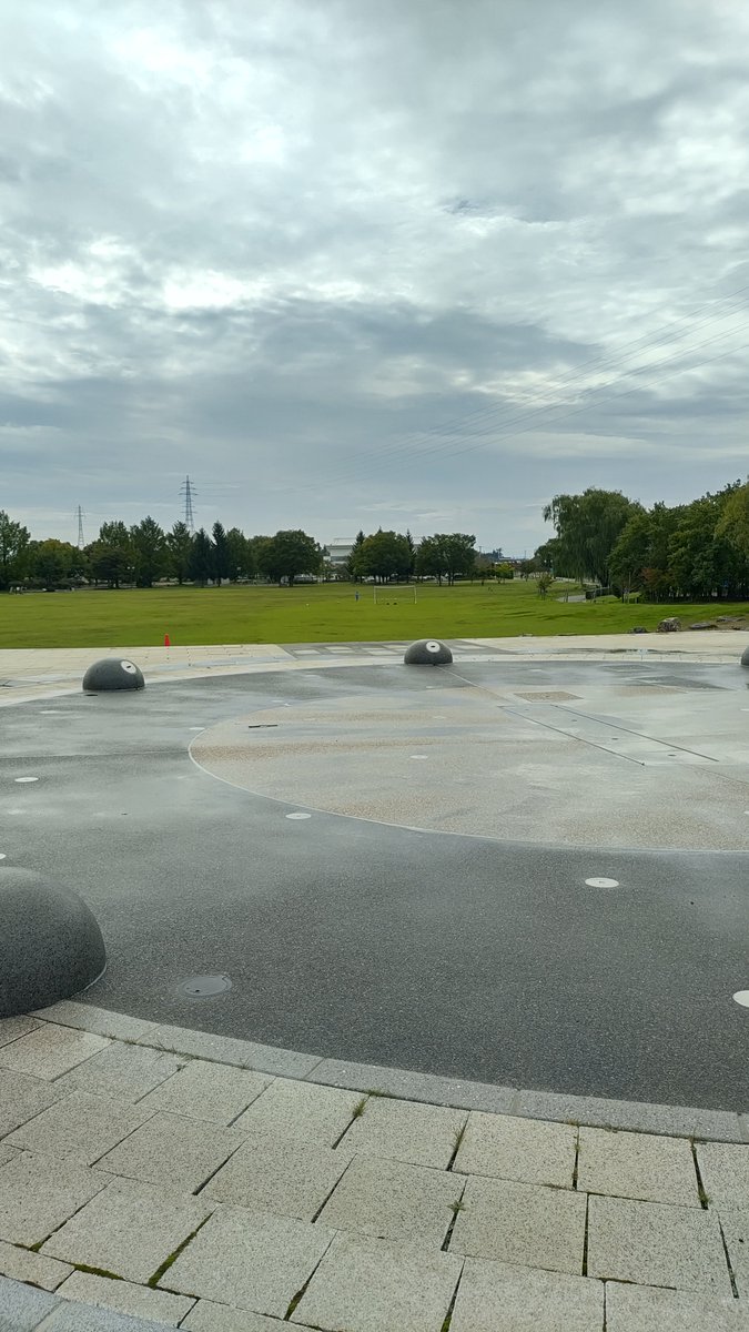 agabarber2's tweet photo. 今日の収穫
山中を歩いたら思っていた以上に衰えを感じたので、近所の公園でのウォーキングを再開する事にした https://t.co/V7rNyDFNjE