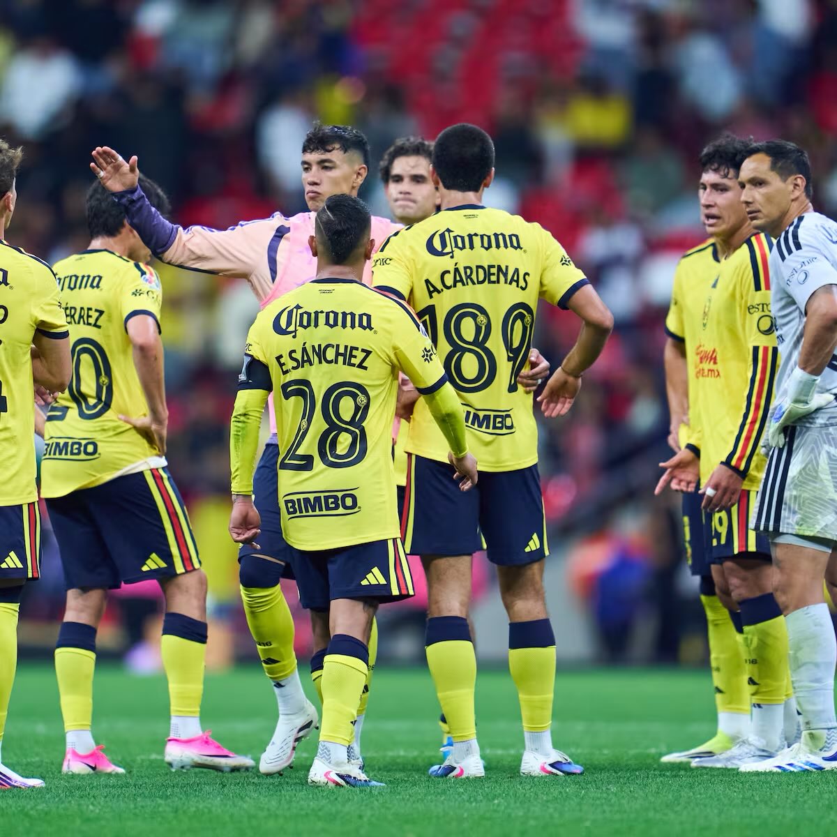 Marcianologo's tweet photo. Victorias vs equipos de medio pelo, pero derrotas y empates contra rivales de arriba.

Yo lo dije y lo voy a volver a repetir, este América no pasa de cuartos este torneo. https://t.co/2LK6yWYYZA