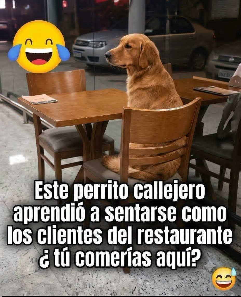 Sabueson's tweet photo. https://t.co/bGZov8vu9a